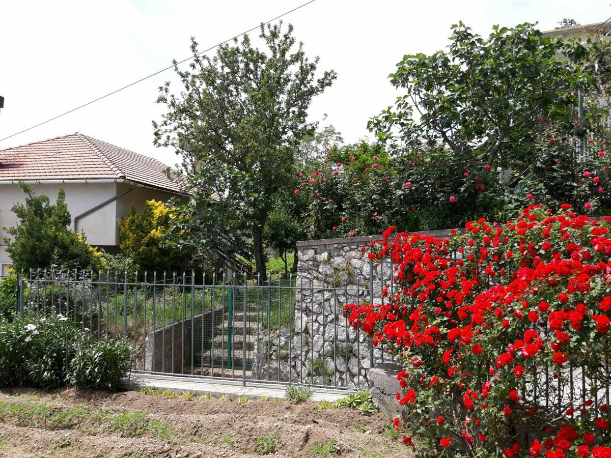 Bb Santalucia Bed & Breakfast Agerola Luaran gambar
